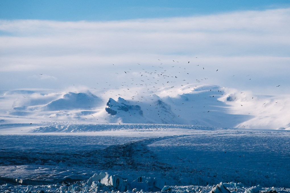 January, things are still beautiful, especially once you get out of Reykjavik