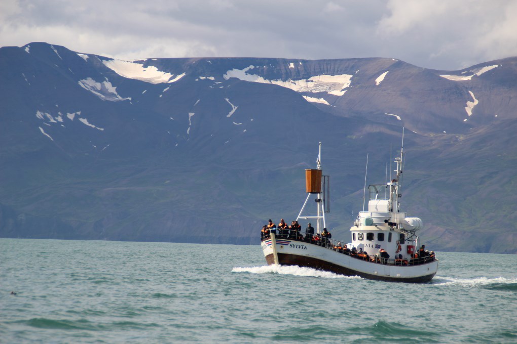 El Camino de la Costa Ártica le llevará a las carreteras escénicas más remotas de Islandia