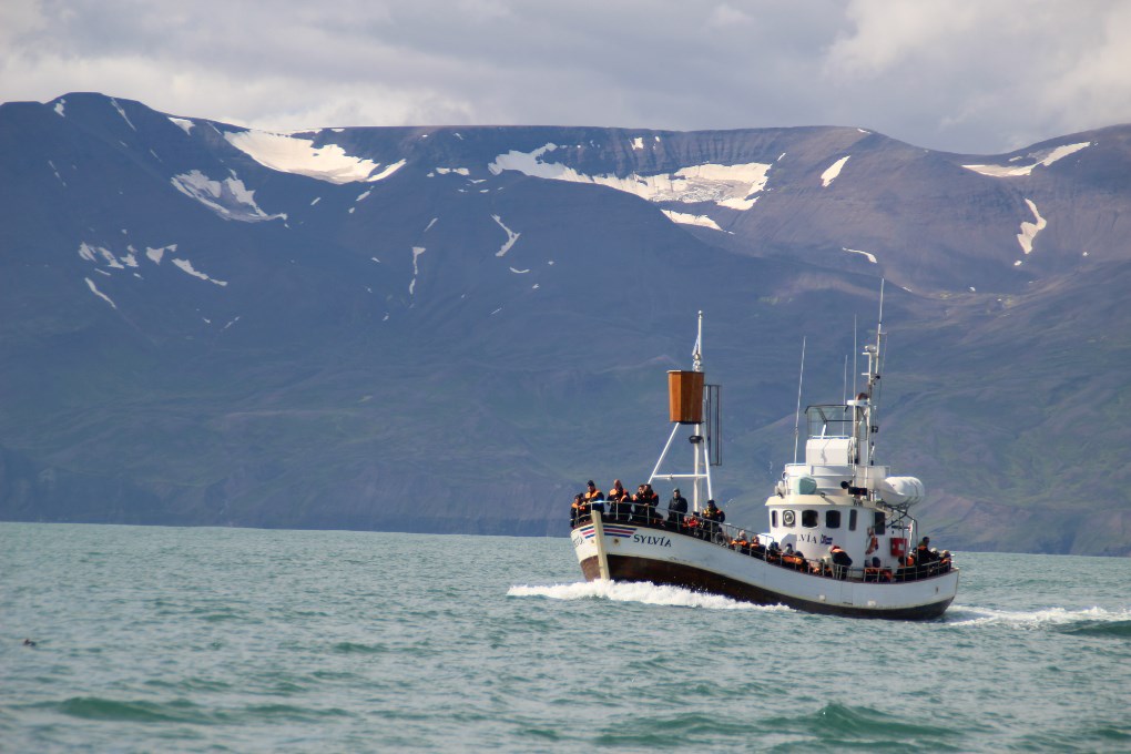 The Arctic Coast Way will take you to the most remote scenic roads in Iceland