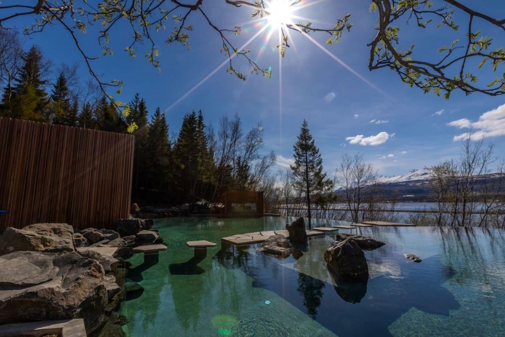 Laguna forestal en Islandia