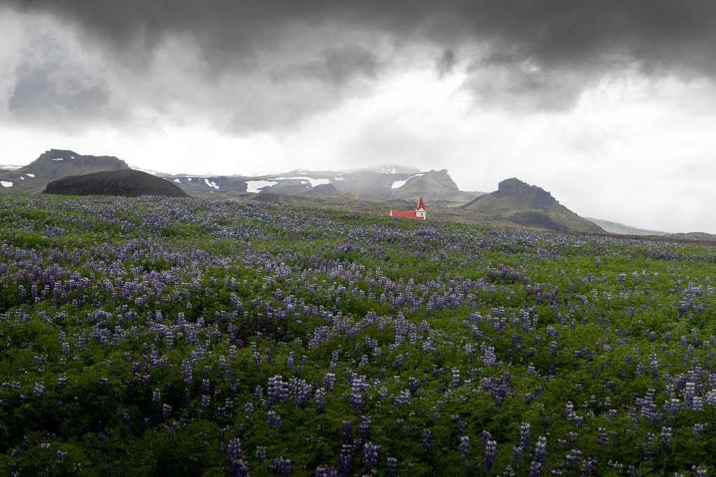 Visiting Snaefellsnes Peninsula during the summer months is arguably the easiest and most convenient option