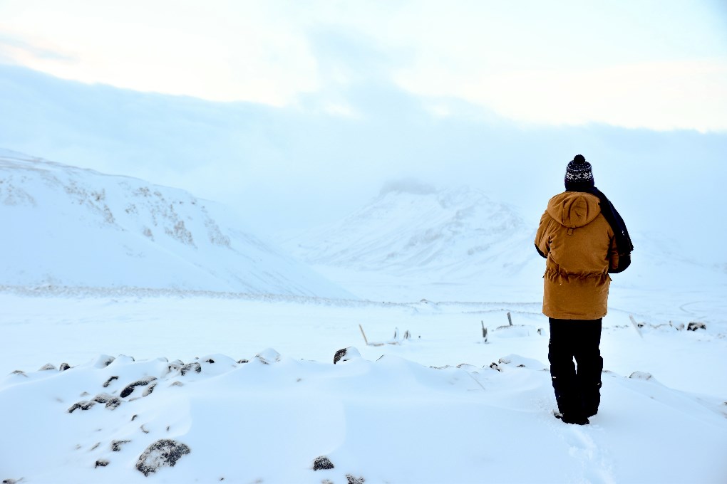 Vous pouvez trouver des paysages d'hiver enneigés en Islande en février.