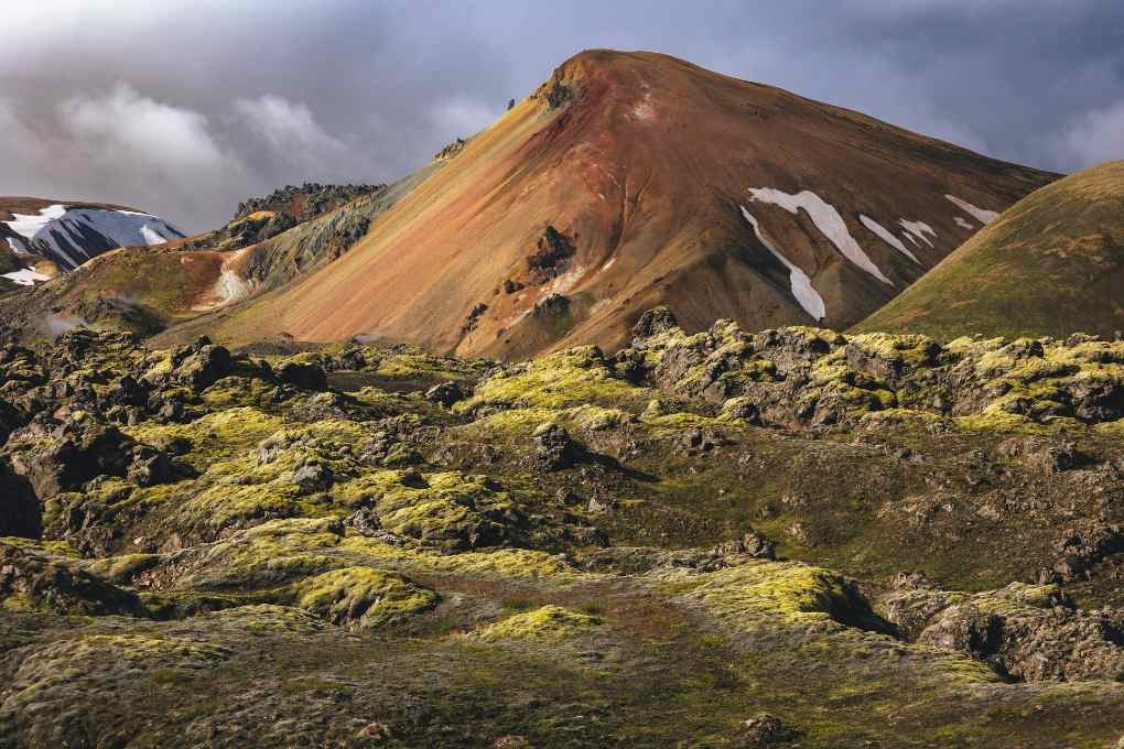 Moss and mountain in Iceland