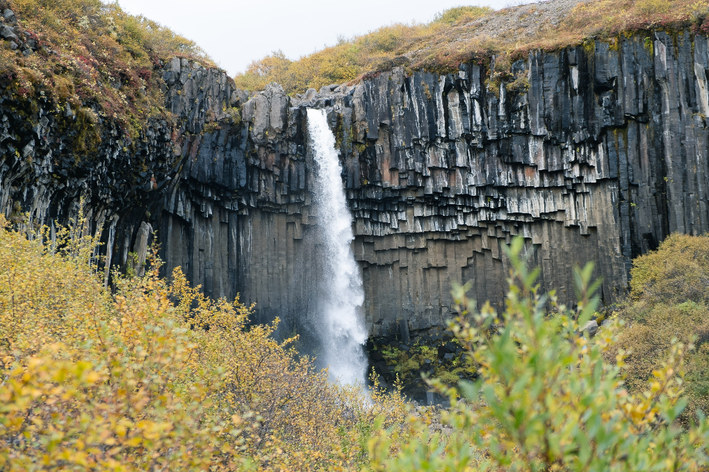 Svartifoss Waterfall in the South of Iceland in summer