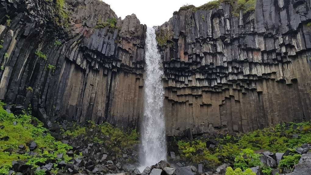Cascata di Svartifoss nel sud dell’Islanda in estate Cascata di Svartifoss nel sud dell’Islanda in estate