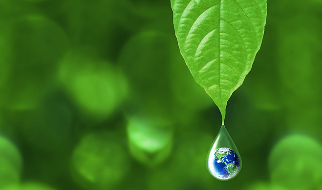 Earth in Rain Drop Falling from Green Leaf