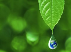 Earth in Rain Drop Falling from Green Leaf
