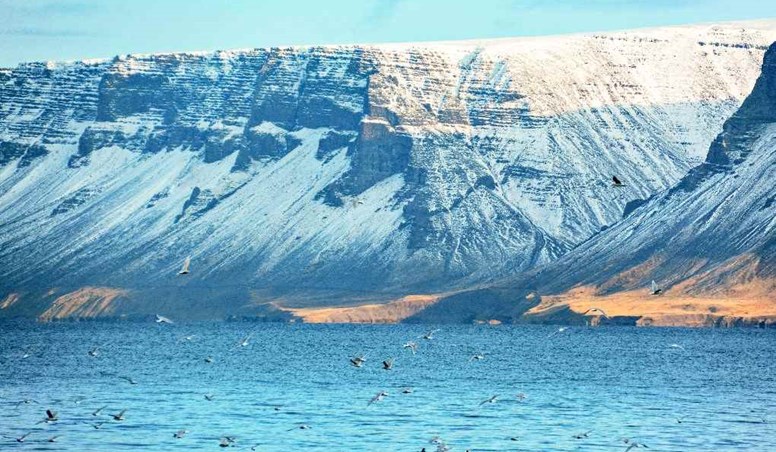 Guide to Driving the Westfjords of Iceland
