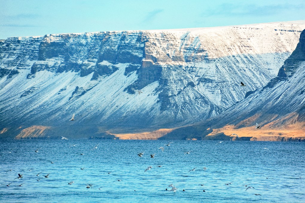 Los fiordos occidentales están situados en la zona más remota de Islandia y ofrecen una de las mejores vistas panorámicas